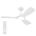 Ventiladores de techo