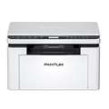 Pantum BM2300